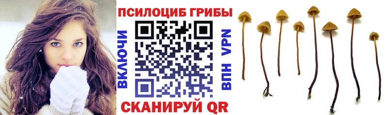 Купить закладки  Петухово  Галлюциногенные грибы Psilocybe 